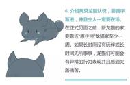 与龙猫建立友谊的秘诀是什么？