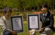 小狗狗的惊人身份：两项世界纪录保持者！