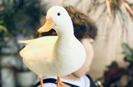 价值8000元的鸭子尝鲜体验：柯尔鸭的独特魅力
