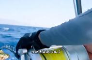 深海垂钓：捕获超过100斤的大石斑鱼，却选择放生#钓鱼之旅