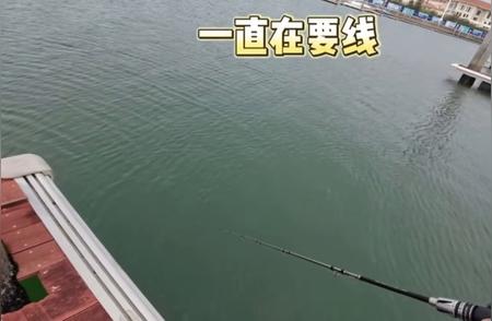 深海垂钓之旅