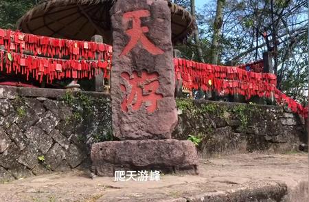 福建武夷山之旅：竹筏漂流与天游峰攀登