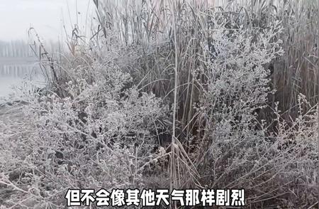 雪天路亚钓鱼的三大秘诀#路亚技巧分享