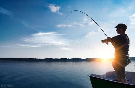 钓鱼新手指南：如何开始你的钓鱼之旅