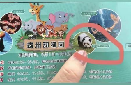 网友惊叹：松狮犬化身大熊猫，动物园内外引发热议