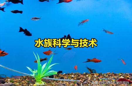 水族科学与技术：大学专业深入剖析