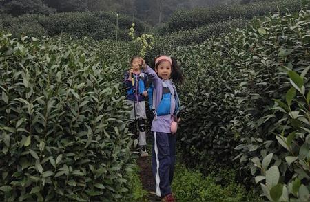 杭州小学生的徒步之旅：每周10公里，30多个家庭同行