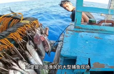 海洋捕捞惊险时刻：鲨鱼攻击下的渔夫挑战