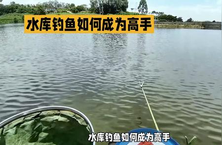 水库垂钓秘籍：如何练就高手技巧？