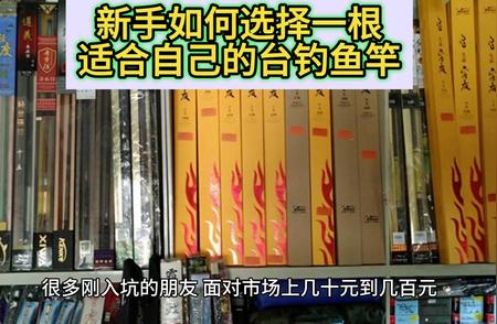 钓鱼新手必看：挑选合适鱼竿的终极指南