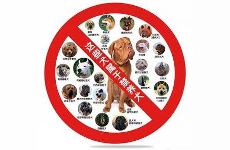 中华田园犬：为何在城市中被禁养？