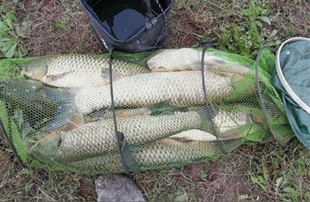 四个关键步骤带你发现野钓的最佳钓点