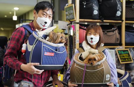 东京国际宠物展：全球宠物爱好者的盛会