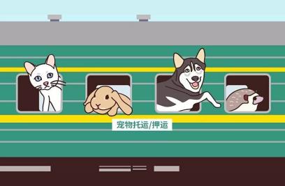 宠物乘火车指南：分步教程