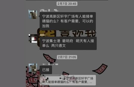 长假宠物照顾：寄养中心还是上门服务？