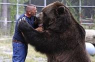 中国是否允许私人饲养棕熊？