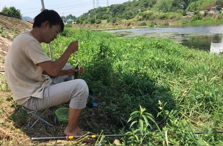 揭秘夏季钓鱼技巧：深水or浅水？