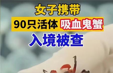 警惕外来物种入侵：女子携带90只“吸血鬼蟹”事件敲响警钟