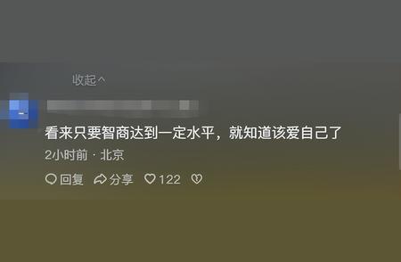 揭秘边牧不为人知的“隐藏缺点”