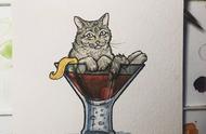 探索茶杯猫的可爱世界：为什么它们如此受欢迎？