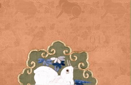 揭秘兔子名字的多样性：百兔迎春背后的故事