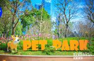 深圳首座宠物公园开放，遛狗新去处！