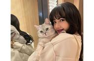 LISA与萌宠猫咪的甜蜜瞬间：揭秘她的宠物生活