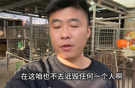 央视曝光沛县宠物市场乱象，消费者权益如何保障？