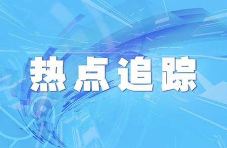 揭秘男子养上百只宠物蟑螂背后的故事