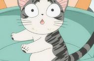 探索动漫中的猫咪魅力：萌态百出的猫咪角色大盘点