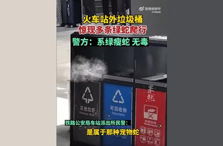 揭秘昆明火车站外绿蛇事件：警方已妥善处理