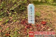 南宁小区绿化带现宠物坟墓，业主反应强烈