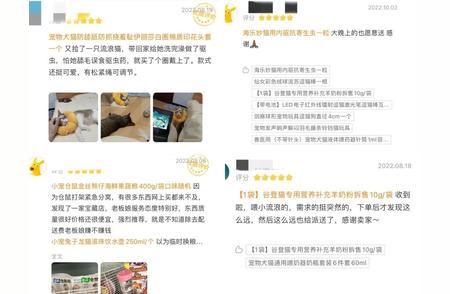 探索宠物用品外卖新趋势：杭州90后女生的成功案例