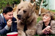 跨越28年的爱：俄罗斯夫妇与小棕熊的温馨故事