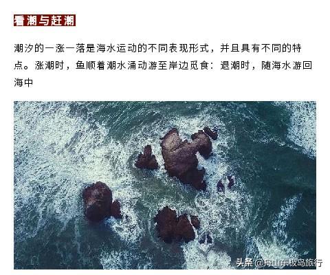 「海钓攻略」磨刀不误砍柴工，海钓前先来看看这几个实用技巧吧