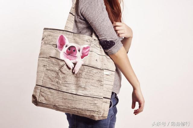 袋子里装着“宠物”的包包，引来网友热捧，一股时尚风又在逼近