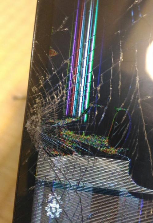 日本网友将锹形虫和手机进行对决，不料手机屏幕惨遭夹爆！