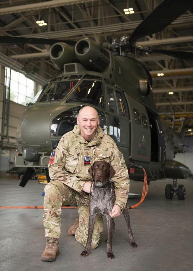 赫兹是一条德国短毛犬，它现在英国皇家空军宪兵队服役