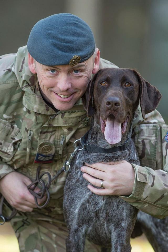 赫兹是一条德国短毛犬，它现在英国皇家空军宪兵队服役