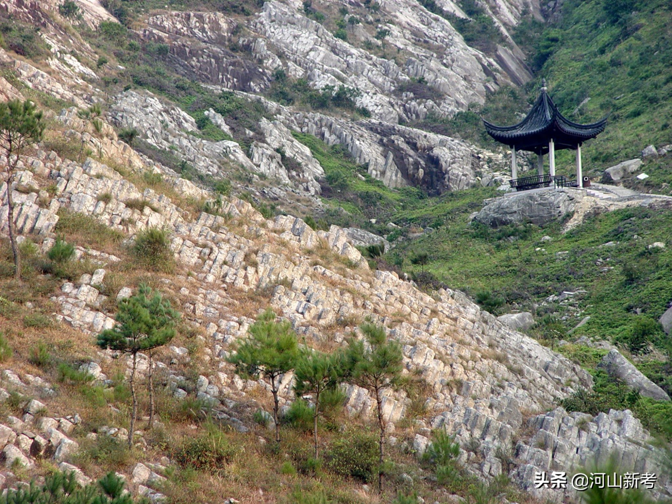 浙江临海，海边的珊瑚石真实探索税晓洁摄于2003年